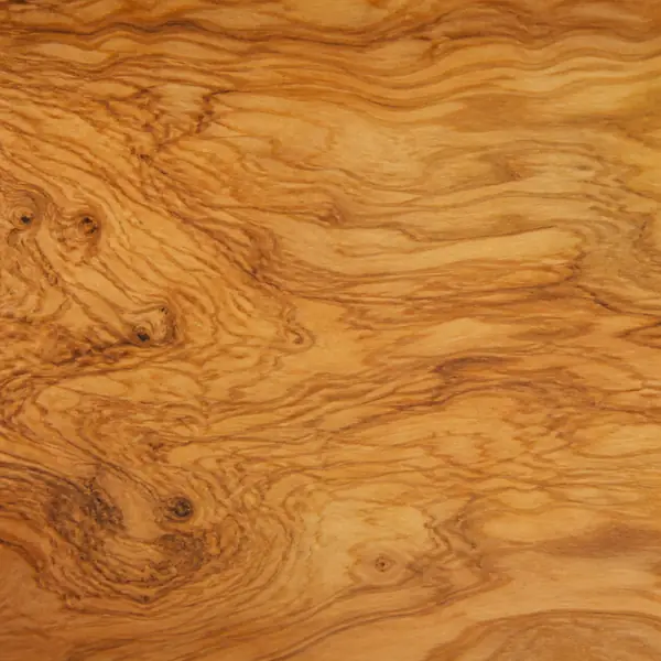 Olive Wood material sample